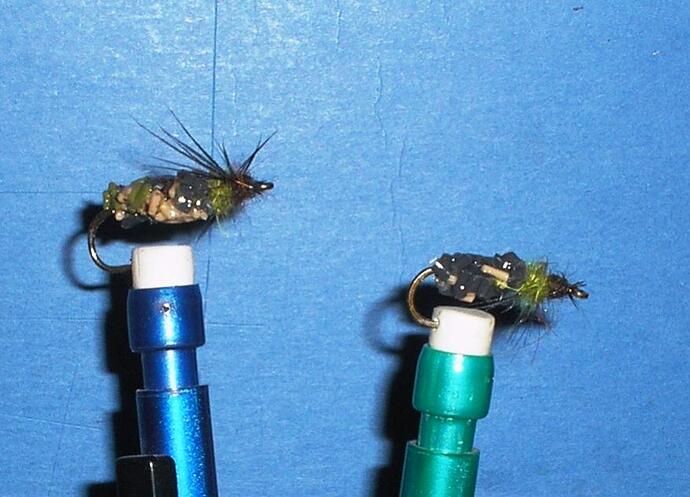 Cased caddis 1.jpg