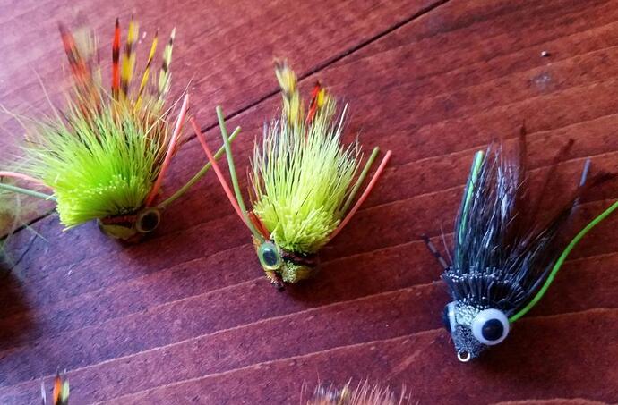 2017-04-10 22.46.50 - Edited.jpg