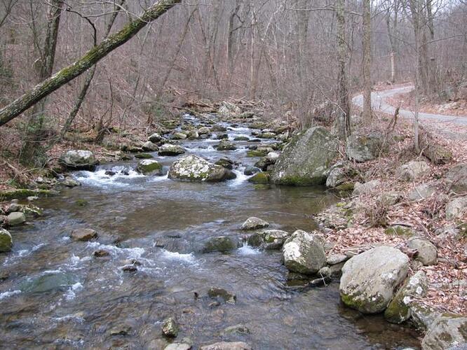 lower creek resized.jpg