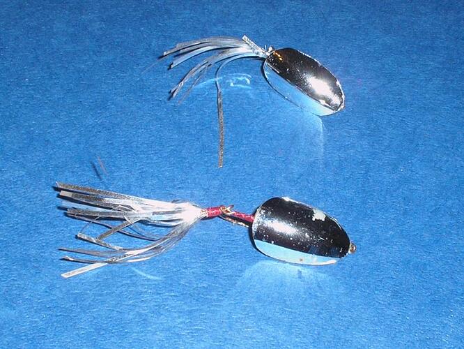 spoon fly 1.jpg