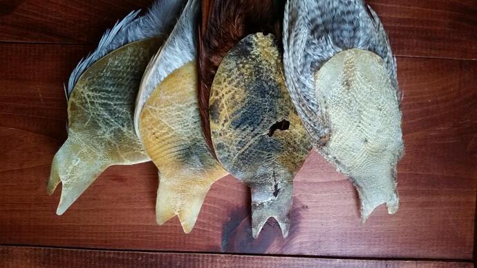 Hackle2 - Edited.jpg