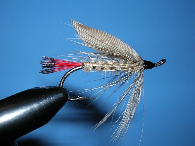 Briar Creek Salmon.jpg
