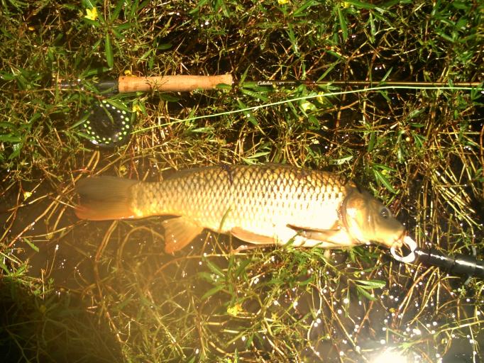 June 2011 carp fishing 010.jpg