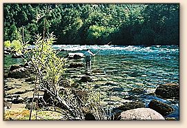 A little fishing before lunch