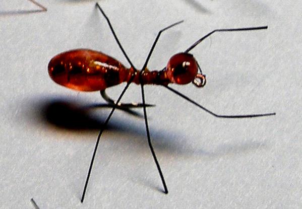 red-ant.jpg