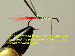 Doodlebug - Fly of the Week - August 30, 2010