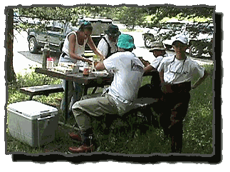 Buffalo Ford Picnic