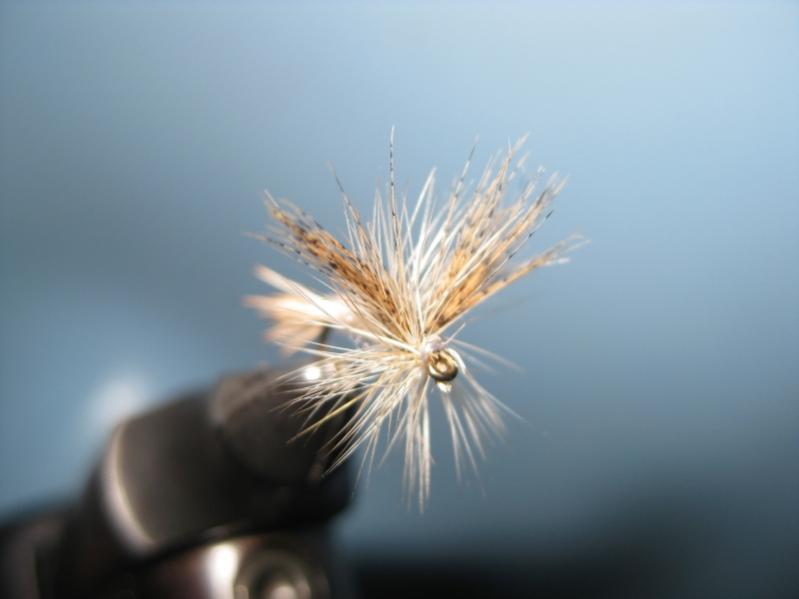Micro Spoon Fly Pattern Vindication for the Spoonie!! - Fly Patterns - FlyAnglers Online