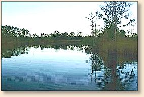 Vandemere Creek, Pamlico County, NC
