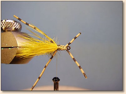 Minnesota Hopper Pattern MSA Hopper — Fly Pattern - Fly Patterns - FlyAnglers Online