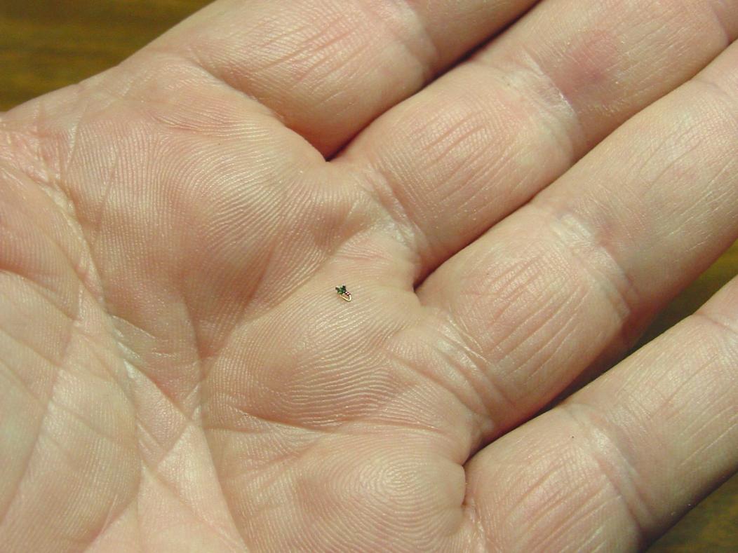 #32onHand.jpg