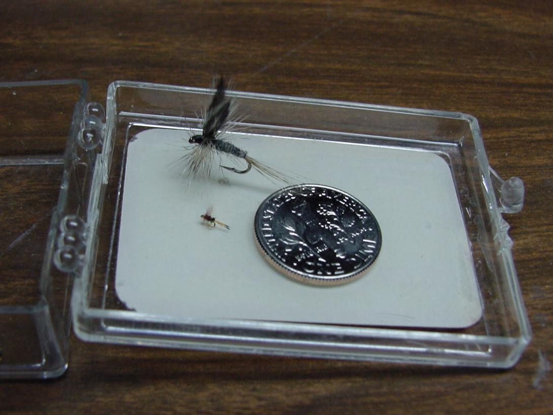 #32Box&FlyDime.jpg