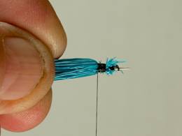Bluet Damsel - Fly of the week - August 23, 2010