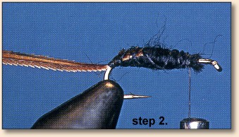 Step 2