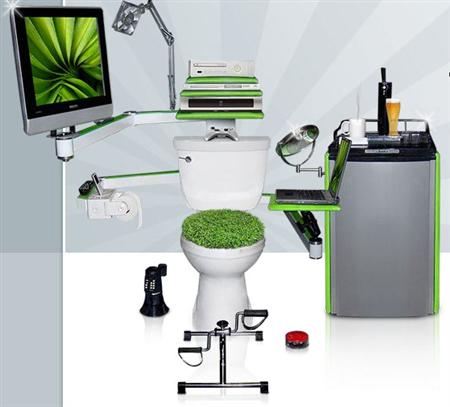 toilet-home-entertainment.jpg