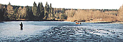 Hoh River, WA