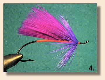 Spawn Tail Fly Pattern Spawning Purple — Fly Pattern - Fly Patterns - FlyAnglers Online