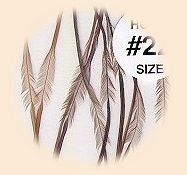 Actual Size