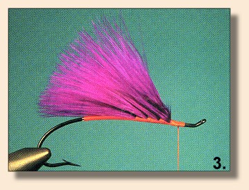Spawn Tail Fly Pattern Spawning Purple — Fly Pattern - Fly Patterns - FlyAnglers Online