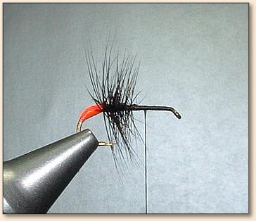 Step 3