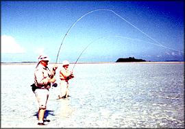 Jack and Don flats double