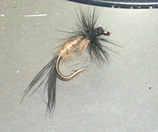 I got worms - Fly Patterns - FlyAnglers Online