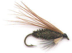 Carrie Fly Pattern Modified Carey Special