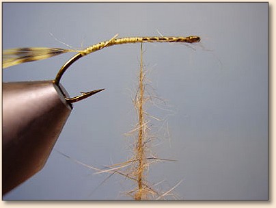 MSA Hopper — Fly Pattern - Fly Patterns - FlyAnglers Online