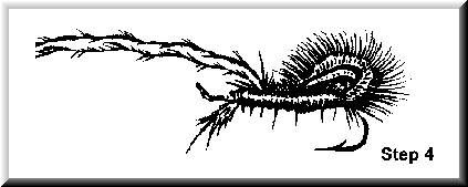 Spawn Tail Fly Pattern MARABOU SPAWN SAC (reprint) — Fly Pattern - Fly Patterns - FlyAnglers ...