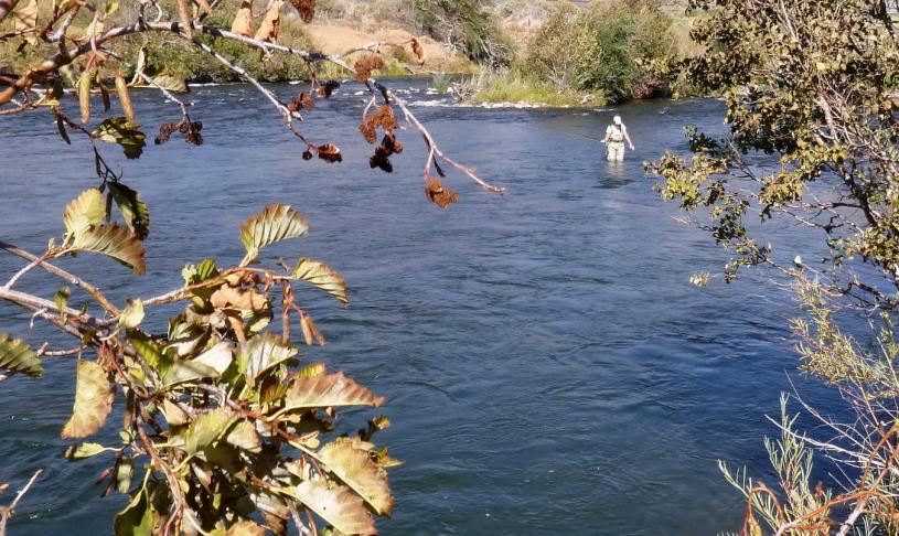 Trout n' trains II_resize.jpg