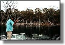 On this summer day fish were rising to both beetles and duns