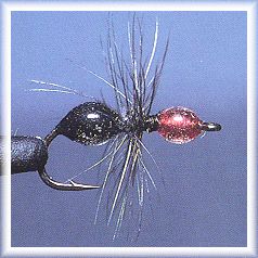 148sinkingant.jpg