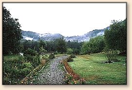 To the river