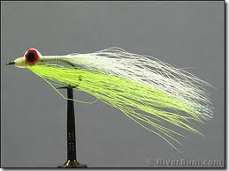 clouser.jpg