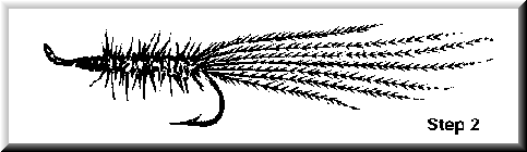 Spawn Tail Fly Pattern MARABOU SPAWN SAC (reprint) — Fly Pattern - Fly Patterns - FlyAnglers ...