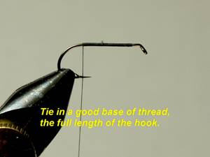 Doodlebug - Fly of the Week - August 30, 2010