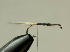 BADGER BIVISIBLE — Fly Pattern - Fly Patterns - FlyAnglers Online