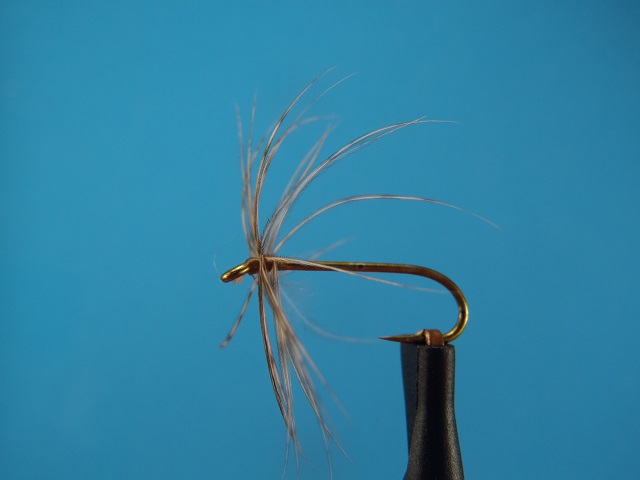 partridge feather 004.JPG