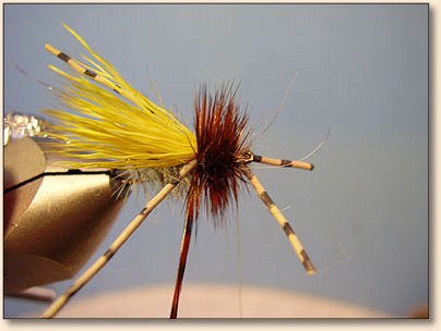 Parahopper Fly Pattern MSA Hopper — Fly Pattern - Fly Patterns - FlyAnglers Online