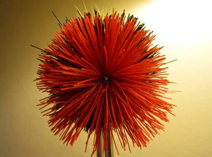 Fly of the week - October 18, 2010