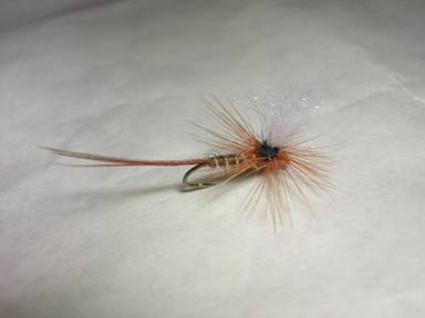 Parahopper Fly Pattern MY PARACHUTE — Fly Pattern - Fly Patterns - FlyAnglers Online