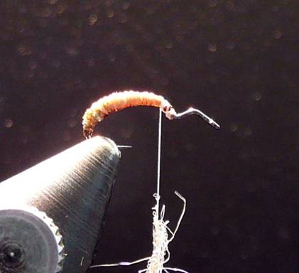 SLOPE CADDIS — Fly Pattern - Fly Patterns - FlyAnglers Online