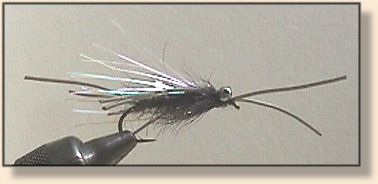 Rubber legged fly