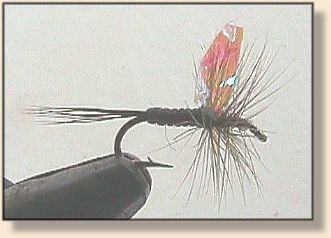 Dry Fly Wings