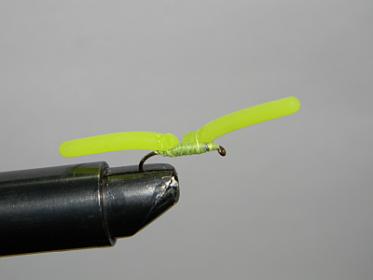 Yellow worm.jpg
