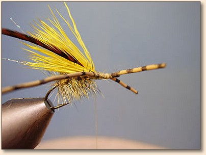 Parahopper Fly Pattern MSA Hopper — Fly Pattern - Fly Patterns - FlyAnglers Online