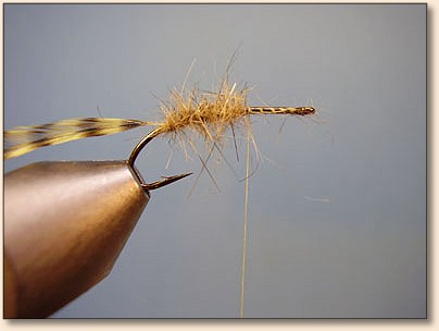 Parahopper Fly Pattern MSA Hopper — Fly Pattern - Fly Patterns - FlyAnglers Online
