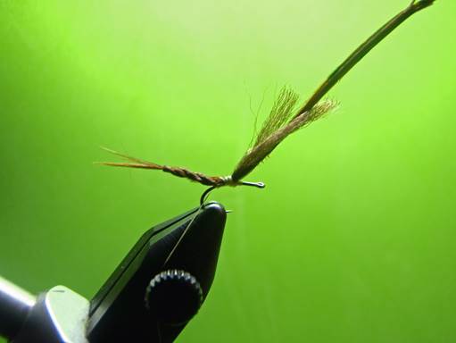 Serendipitous PMD Emergers