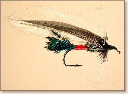 Tying Atlantic Salmon and Spey Flies, Instruction - Wet - Light Spruce ...