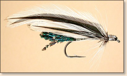 Silver Spruce